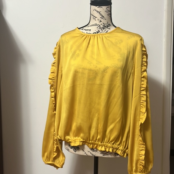 NWT Ann Taylor Ruffle Blouse with Cinched Hem - Picture 6 of 8